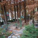 뉴그린 손세차 이미지