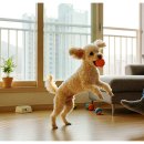 한울림약국 이미지