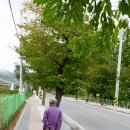 길곡1리 새터 경로당 | [이승태 여행작가] 경북 봉화 가볼만한곳 | 고즈넉한 가을 분위기를 느낄 수 있는, 외씨버선길 09코스...