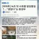 육각수 이미지