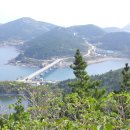 추자교량 Daum카페