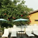 (주)리코 이미지