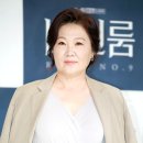김해숙 카카오 검색결과