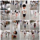 백운나래태권도 이미지