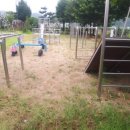 대구송원초등학교 이미지