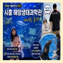 텃밭과 함께하는 생태체험놀이 | 시흥 해양생태과학관 아이랑 가볼만한곳 추천! 바다사자 피딩부터 수의사 체험까지