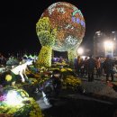 마산가고파 국화축제장 이미지