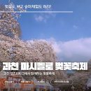 파크힐 여의도 | 벚꽃보러 여의도 말고 여기 가세요｜아이랑 가기 좋은...런파크 마시멜로 벚꽃축제 따끈한 후기 (+드론...