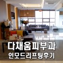 다채움피부과의원 이미지