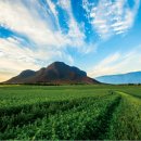 엘 농장 이미지