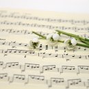 초등학교 생활 무엇이든 물어보세요 이미지