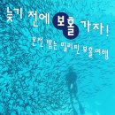 대장 7번째 책 《늦기 전에 보홀 가자!》이 출간 이미지