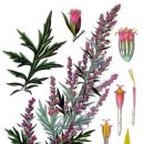 홀리허브 이미지