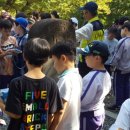 대구경동초등학교 Daum카페