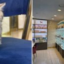 도그마루 강아지고양이 목동점 이미지