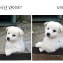 이승삼 스포츠센터 이미지