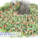 서도지구대 이미지