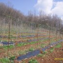 동부농약사 이미지