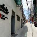 창신종로약국 Daum카페