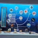 땅끝해양 자연사박물관 이미지