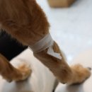 두리동물병원 이미지