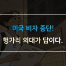미국 유학생 비자 취소·인터뷰 중단 사태, 이제 헝가리 의대가 안전하고 확실한 선택입니다! 이미지