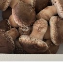 대흥상회 이미지