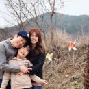 양평양떼목장 이미지