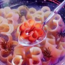 해진농장(2) 이미지