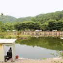 도장골낚시터 이미지