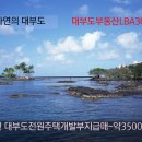 대부도공인중개사사무소 Daum카페