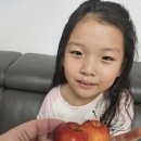 희망반 최서은 사과데이미션 🍎 🍏 이미지