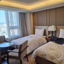 (주)호텔롯데 롯데시티호텔울산 이미지