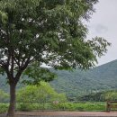 진북편백골관광농원캠핑장 | 땡여름이 오기전 여름맞이로갔던 캠핑 :-) w.진북편백골 캠핑장