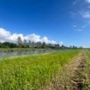 삼락생태공원 이미지