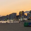 도도의원 네이버블로그