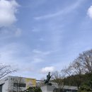충남도서관 앞 | [아직은 이른 봄] 대전 벚꽃 명소 충남대학교 방문 솔직 후기
