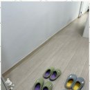 정오의수학