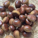 군밤이네 | 공주밤꽃향기 군밤추천｜겨울에 생각나는 햇밤·알밤 후기