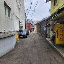 올겨울 영업 종료 임박! 송탄붕어빵 잔뜩 사 온 후기 (주차, 웨이팅)