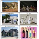 한라봉관광 이미지