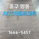 명동세탁소 | 중구 명동카페트세탁 샤기카펫 클리닝 후기