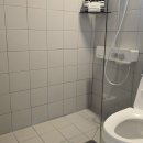 아날로그 스테이 이미지