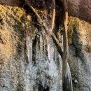 승원 동물병원 이미지