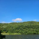 서성리 입구 | [ 여름 수국축제 ] 제3회 강진 수국길 축제 : 솔직후기 및 기본정보