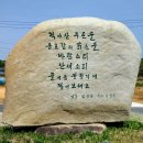 홍천인삼•척야산문화수목원•인삼막걸리만들기•인삼제품 구매방법(ft.시골투어)