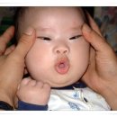 인형의 거리(돼지) 이미지