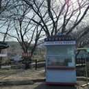 오서산사슴목장 이미지