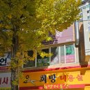 화정농장 | 광주 서구 힐링 건강관리 쑥뜸천하 화정점