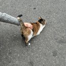 케이마트송현점 | It said : ‘Merry Christmas’